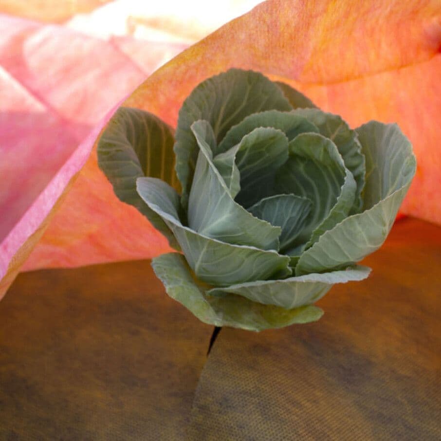 Бело-чёрная мульча 80