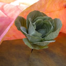 Бело-чёрная мульча 80