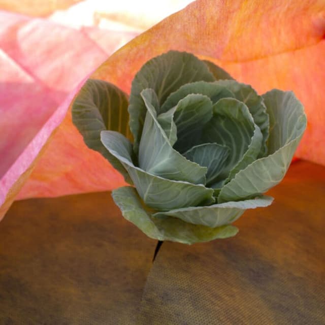 Цветные двухслойные и трёхслойные материал