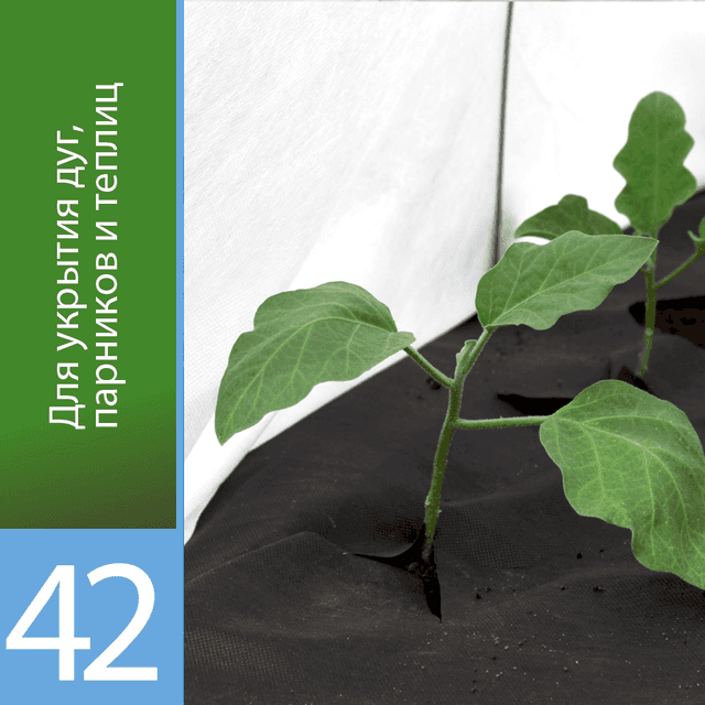 Белый укрывной «Агротекс 42»