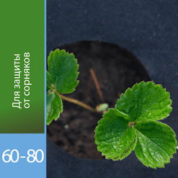 Перфорированная мульча «Агротекс 60-80»