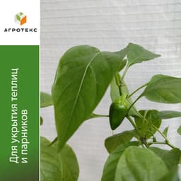 Армированный ламинированный укрывной материал 80