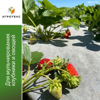 Бело-чёрная мульча 80