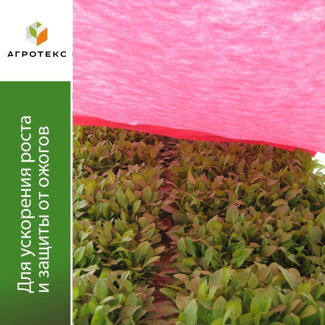 Бело-красный укрывной материал 30