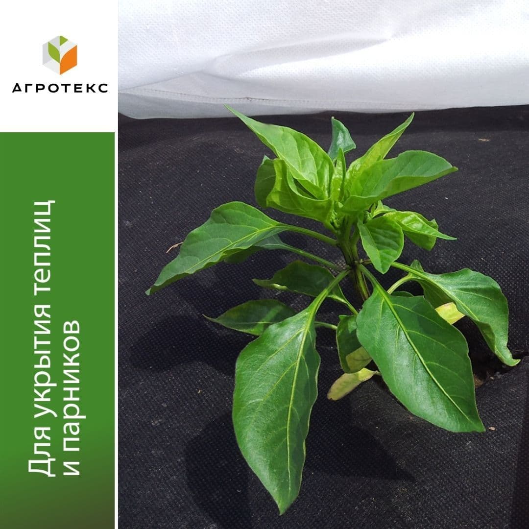 Двухслойная антиконденсатная укрывная плёнка Микс 40-60-100