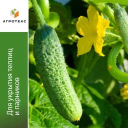 Антиконденсатная плёнка Микс 40 для огурцов