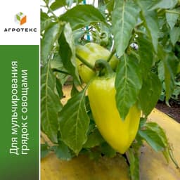 Жёлто-чёрная мульча 80