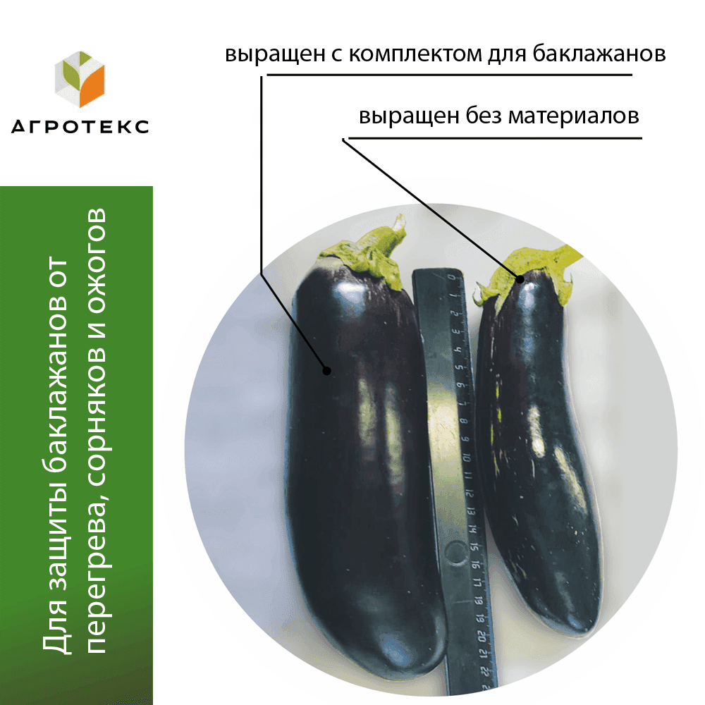 Комплект для баклажанов