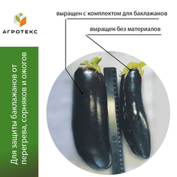 Комплект для баклажанов